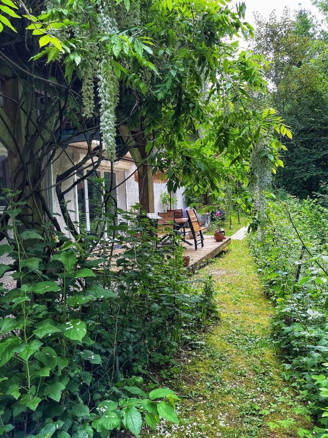 Appartement au calme avec terrasse verdoyante entre Annecy et Genève Villy-le-Pelloux Extérieur photo